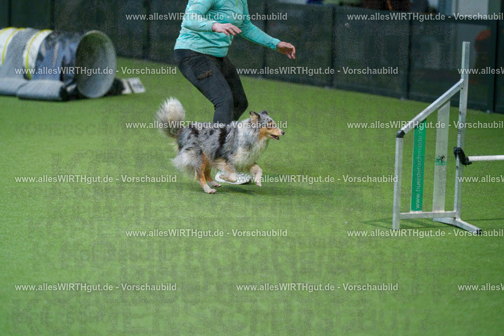 @allesWIRTHgut_Tierfotografie - www.allesWIRTHgut.de - 2604250844-7R507618 | Professionelle Tierfotografie in Mönchengladbach von Daniel Wirth (allesWIRTHgut). Liebevolle & natürliche Bilder von Hunden & Katzen für unvergessliche Erinnerungen.
