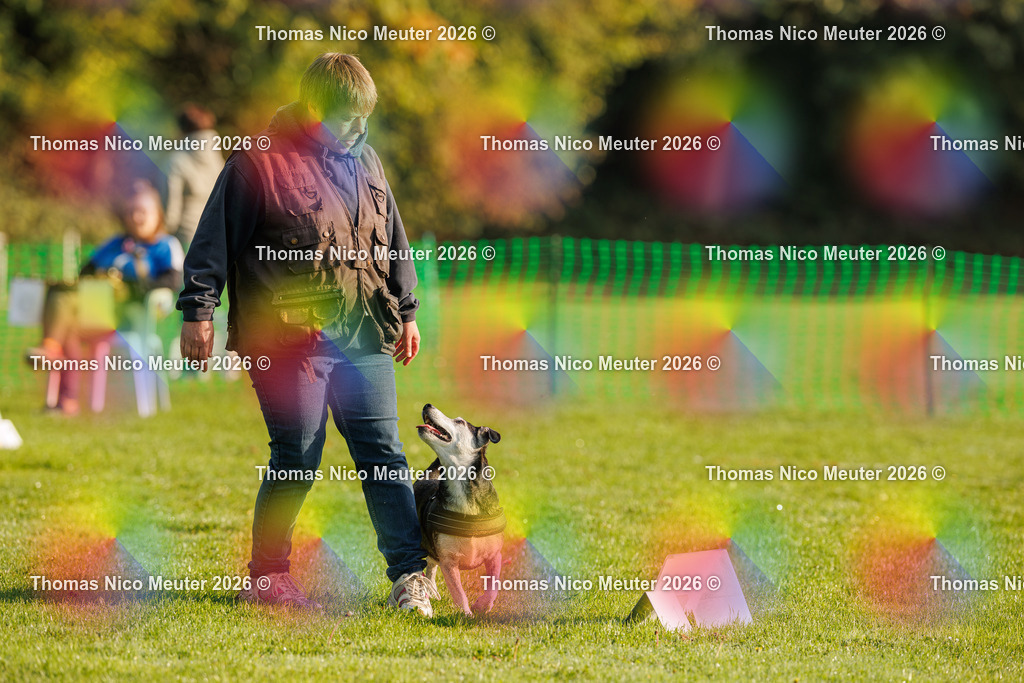 Thomas_Nico_Meuter(C)_04. Oktober 2026_223A0063 | Bild von Thomas Nico Meuter - Realisiert mit Pictrs.com