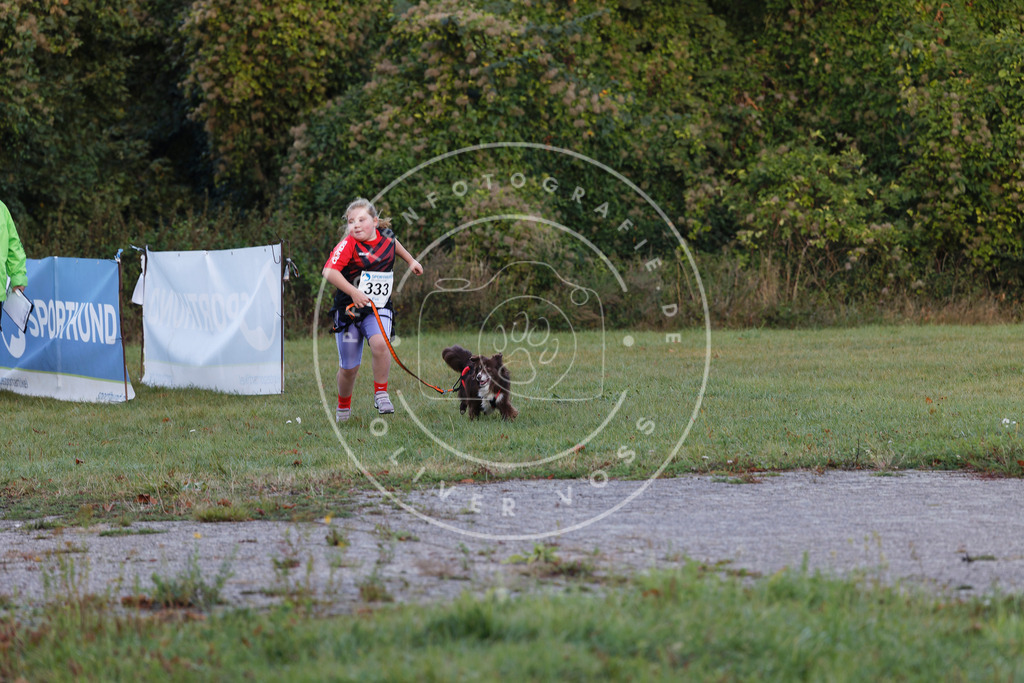 0L8A4259 | Hundefotografie, Tierfotograf, Pfotenfotografie, Fotoshooting Hund, Hunde Portrait, Hundesport, Hundeportraits, Heideshooting, Hunde, Sportfotograf, Hundefotograf, Turnierhundsport, THS,  - Realisiert mit Pictrs.com