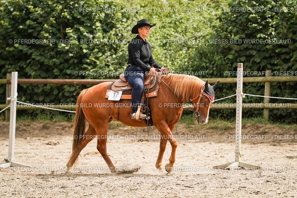 DSC00539 | Pferdegrafie