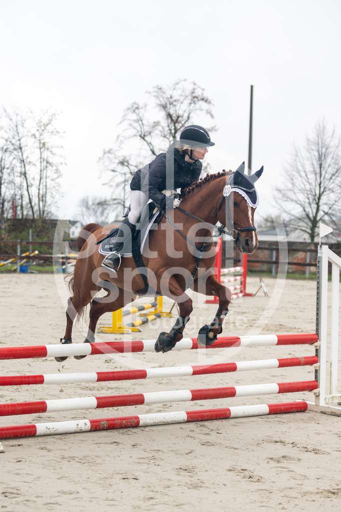 DSC_8228 | sattelsport - Realisiert mit Pictrs.com