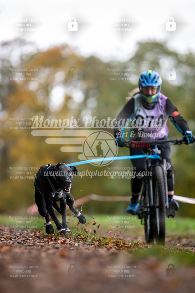 DBT_DAKM_SA_4_11_2023_Bike-87 | PayLife