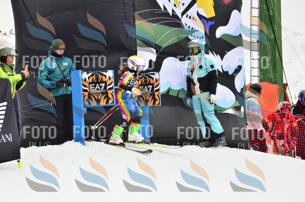 _ELE4043 | holidayphoto