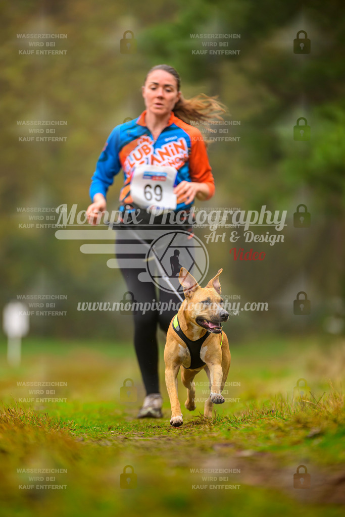 MompixPhotography_Bischwiller2025_Canicross-165 | mompixphotography