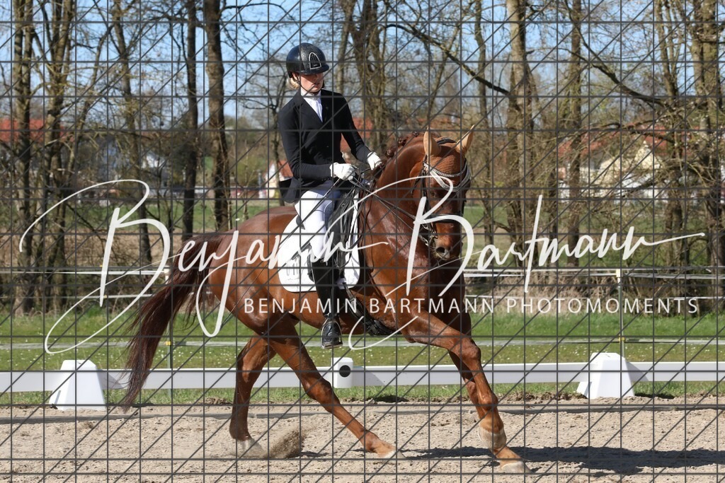 AZ2A5140 | Benjamin Bartmann Photomoments