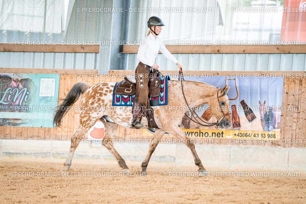 DSC09401 | Pferdegrafie