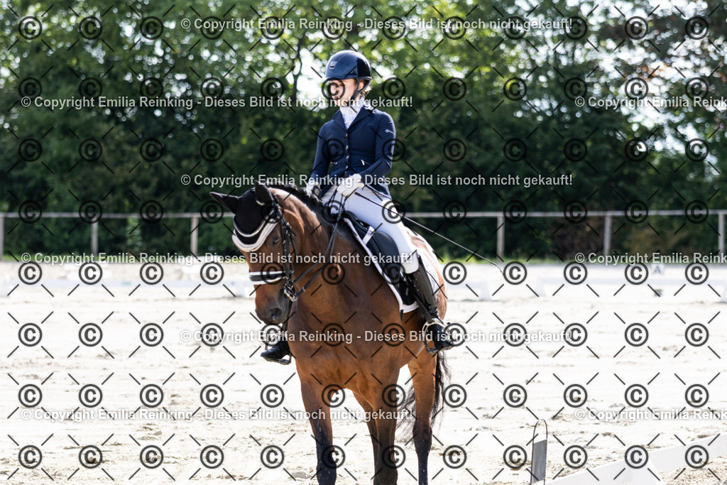 CL5A5537 | Emilia Reinking Fotografie - Realisiert mit Pictrs.com