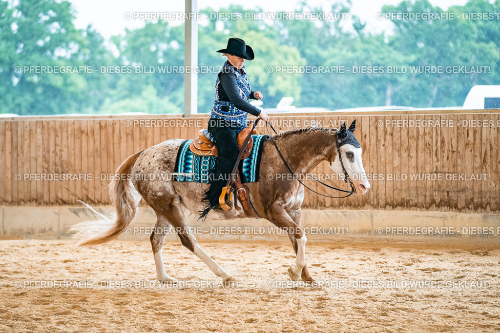 DSC00604 | Pferdegrafie