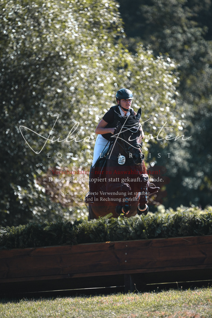 DSC_8233 | Pferde- und Turnierfotografie in Westsachsen. Pferdeportraits, Auftragszeichnungen und intuitive Kunst.