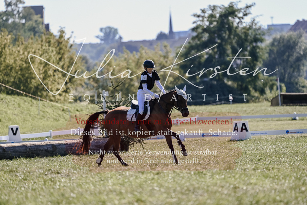 DSC_3446 | Pferde- und Turnierfotografie in Westsachsen. Pferdeportraits, Auftragszeichnungen und intuitive Kunst.
