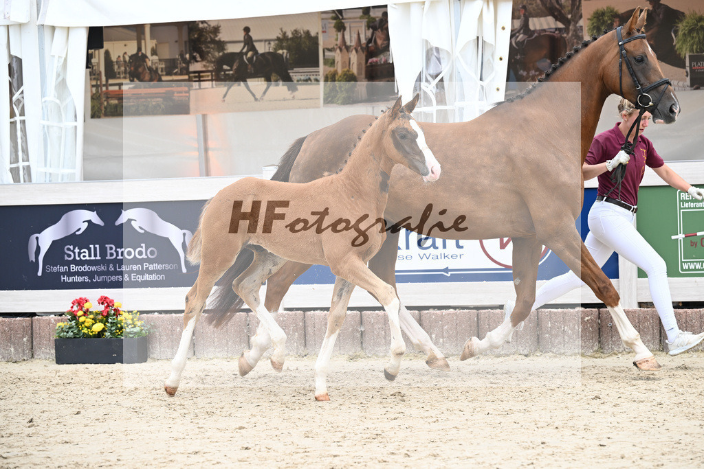 Filox x Borsalino_HF_Geiger_12250592 | hf-fotografie - Realisiert mit Pictrs.com