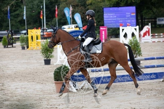 2B4A2322 | pixelfaenger - Realisiert mit Pictrs.com