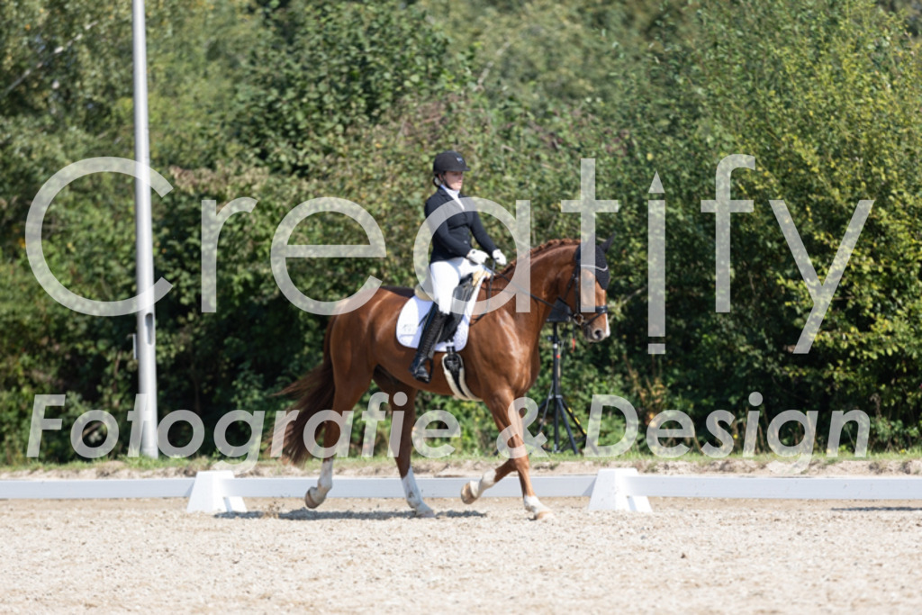 IMG_4717 | Creatify Fotografie