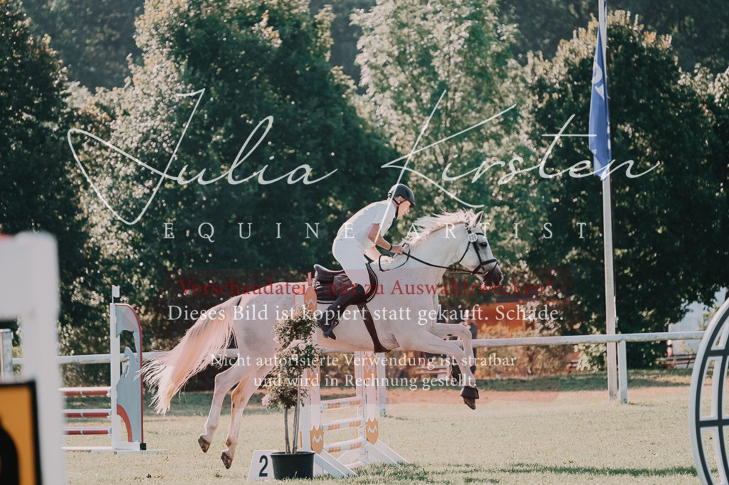 DSC_4553 | Pferde- und Turnierfotografie in Westsachsen. Pferdeportraits, Auftragszeichnungen und intuitive Kunst.