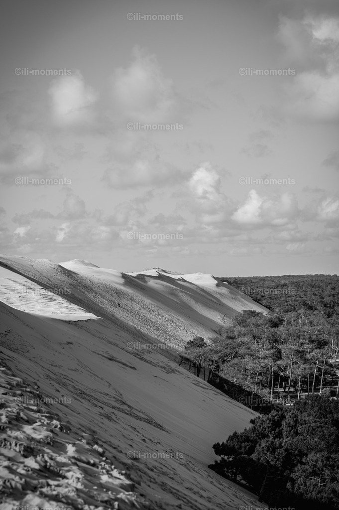 die Düne | Die Dune du Pilat – Europas größte Wanderdüne – beeindruckt mit ihrer majestätischen Größe und einzigartigen Schönheit. Dieses Fotokunstwerk fängt die kraftvolle Naturkulisse perfekt ein und eignet sich ideal als Kunstdruck. - Realisiert mit Pictrs.com