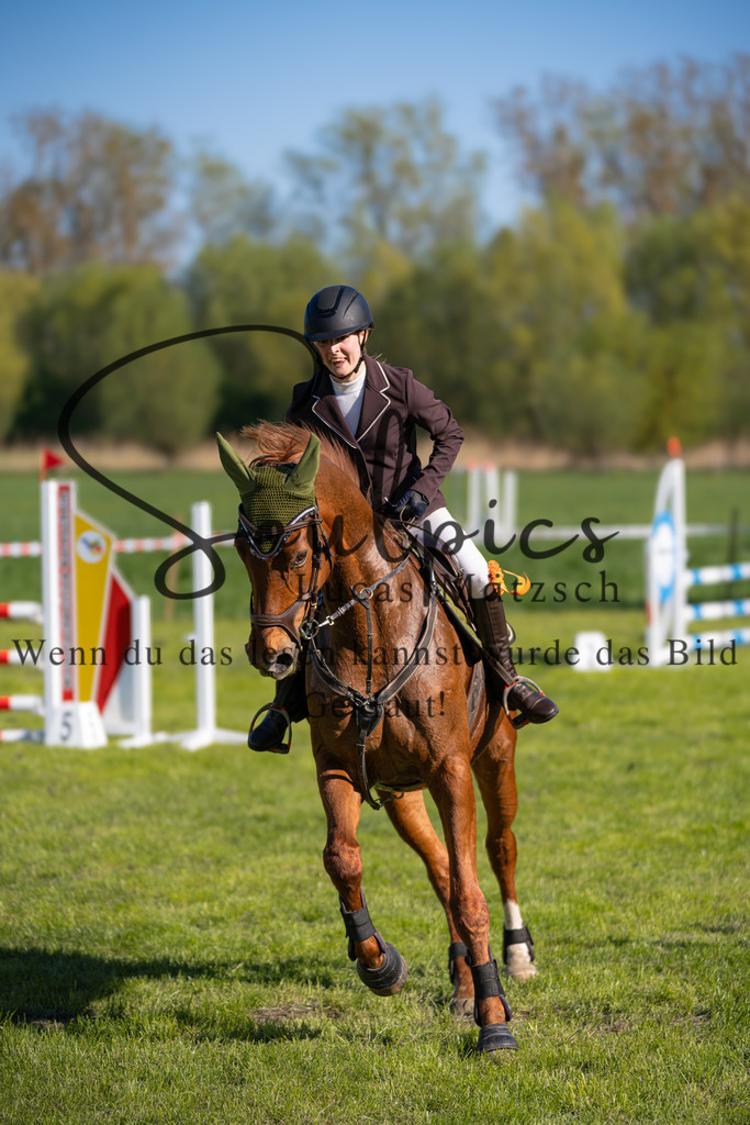 A7V01666 | Pferdefotograf