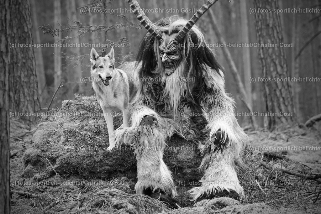 2X5A3746 | fotos-sportlich-belichtet - Realisiert mit Pictrs.com