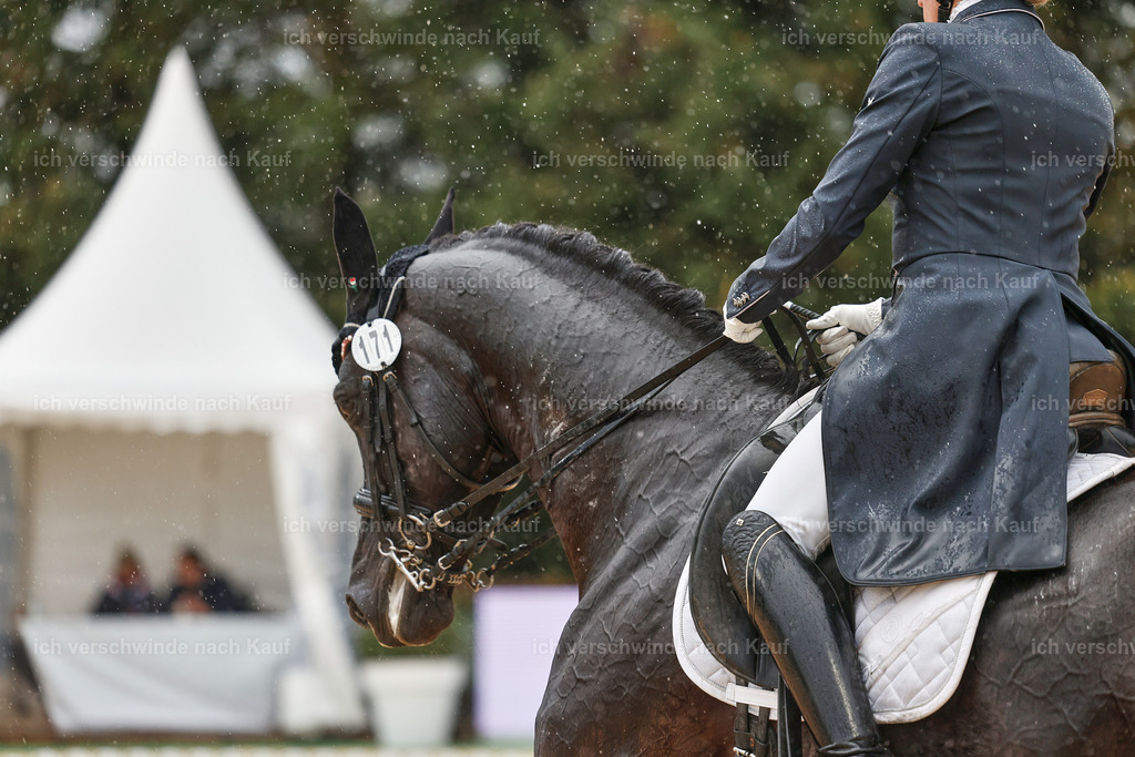 8_2-171-DRESSUR S_  -StoibPH-4503 | working equitationturnier fotograf videograf stoibphotography marixx film working equitation deutschland reitsport turnierfotografie eventfotografie equestrian events