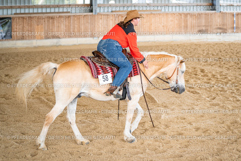 DSC02849 | Pferdegrafie