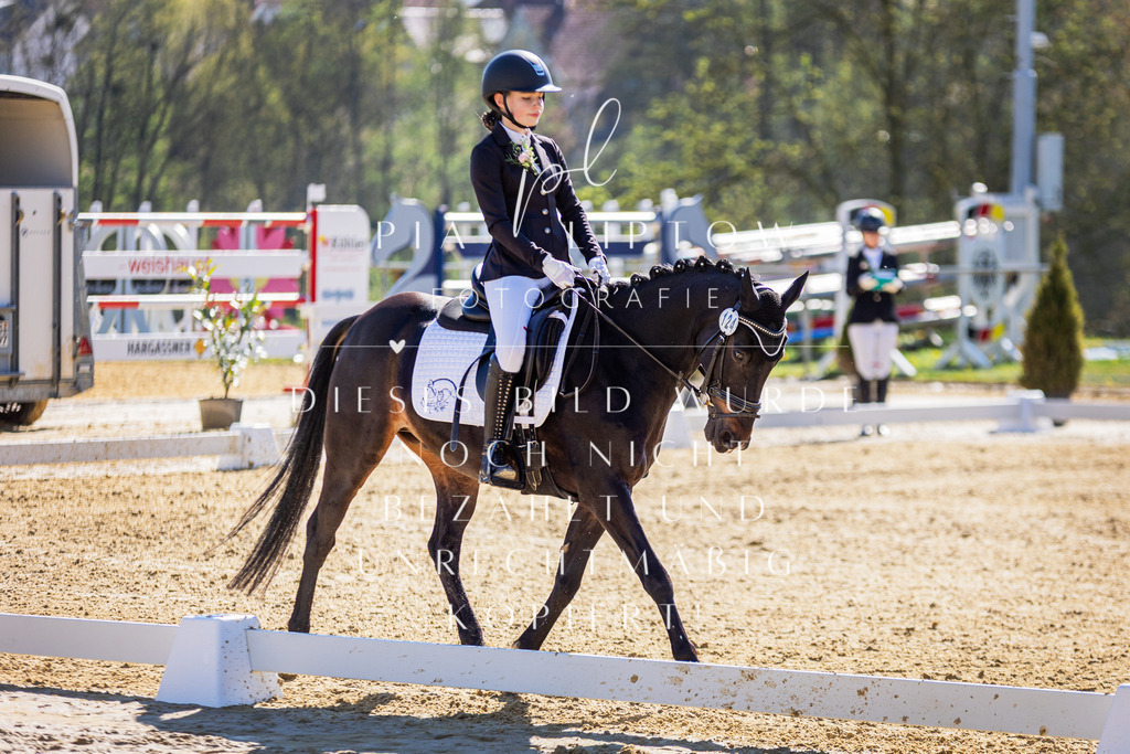 IMGT0109 | pl-fotografie