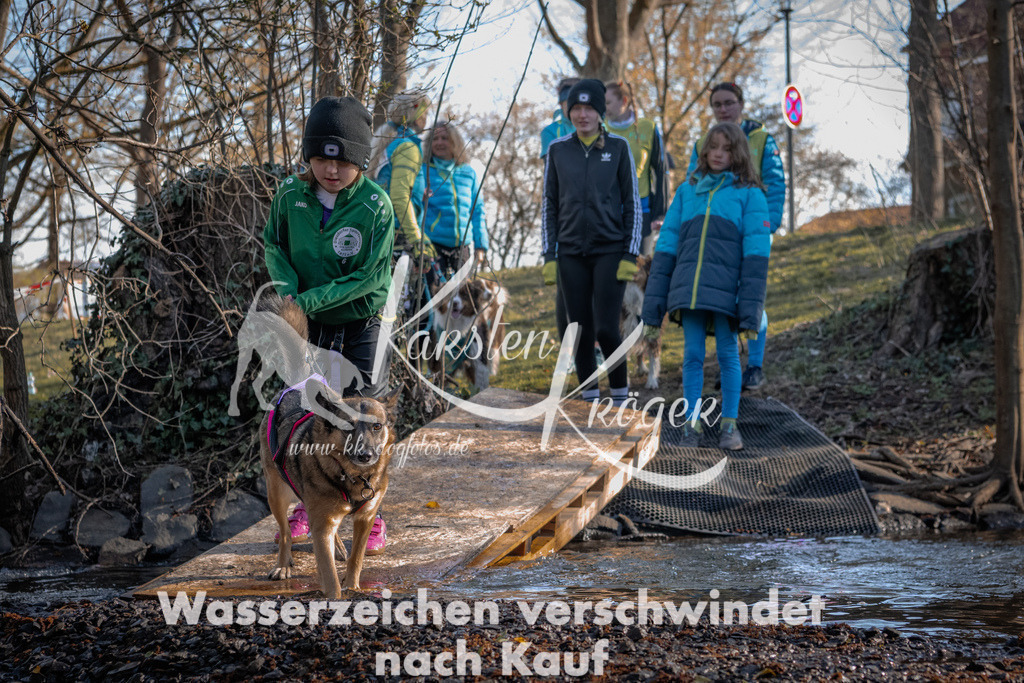 0827_ZZ90911 | kk-dogfotos