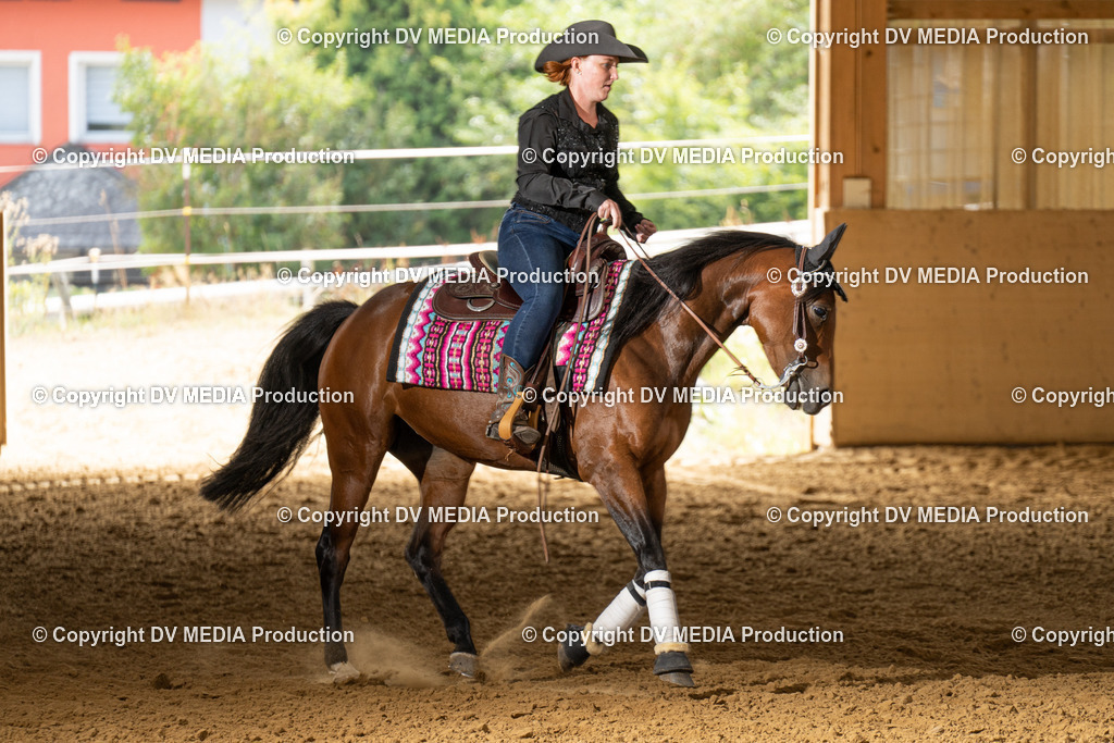 LAU01722 | dv-media-shop - Realisiert mit Pictrs.com