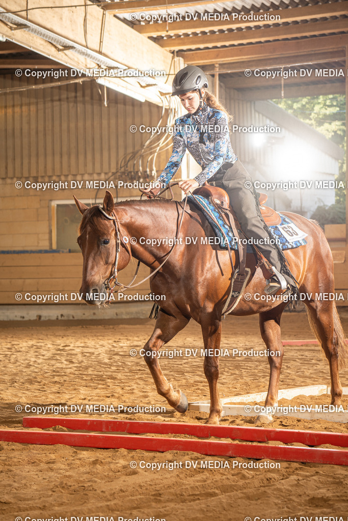 NID02576 | dv-media-shop - Realisiert mit Pictrs.com