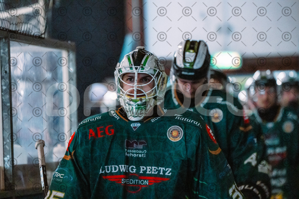 Alligators_vs_Erfurt_06_09_2026-04 | Die Fotogalerie von Daddel: professionelle Bilder von Sport, Events und Unternehmen aus Franken. Jetzt Galerien durchstöbern und Lieblingsfotos bestellen. - Realisiert mit Pictrs.com