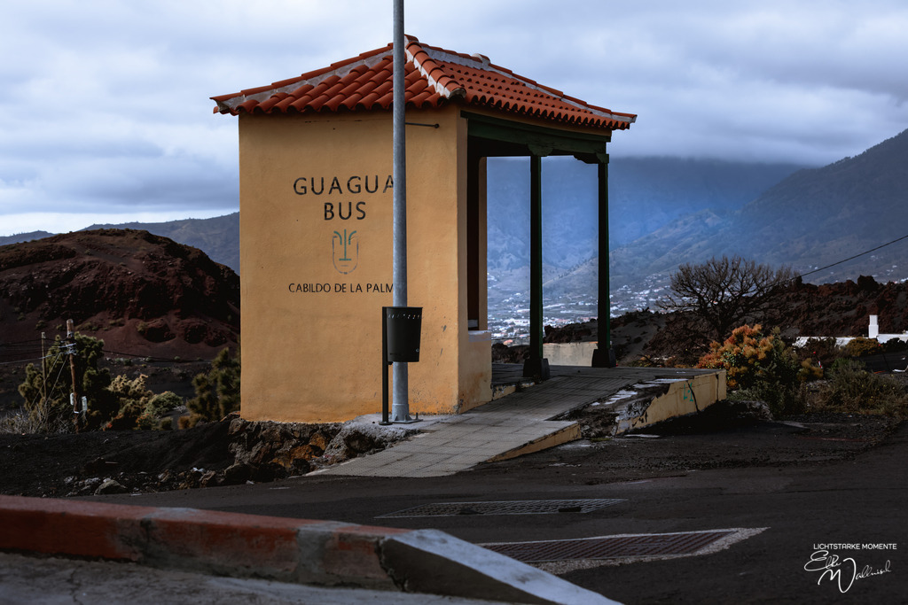 20250322-153434 LA PALMA_197-1 | Herzlich willkommen auf meiner Seite! Ich bin Elke Wallnisch, Deine Fotografin für lichtstarke Momente. Der Name steht für alles, was mich mit der Fotografie verbindet: Das Licht und seine machtvolle Wirkung auf eine Situation oder unsere Stimmung - Realisiert mit Pictrs.com