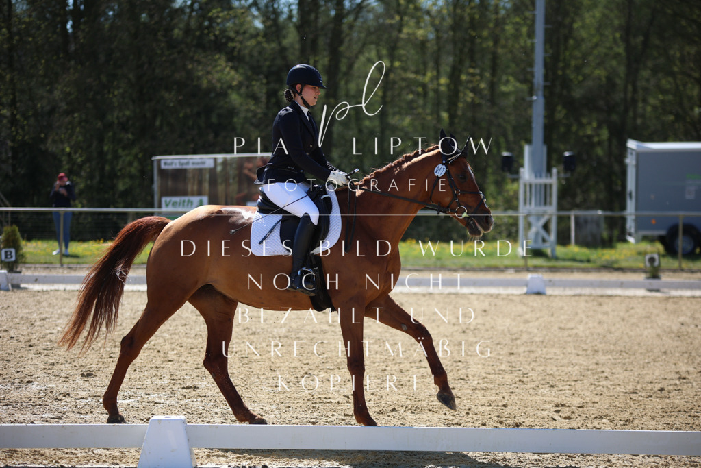 IMGT0384 | pl-fotografie