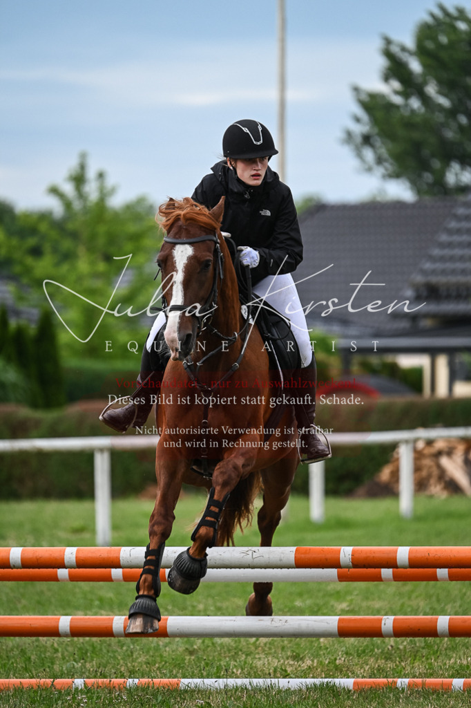 DSC_8372 | Pferde- und Turnierfotografie in Westsachsen. Pferdeportraits, Auftragszeichnungen und intuitive Kunst.