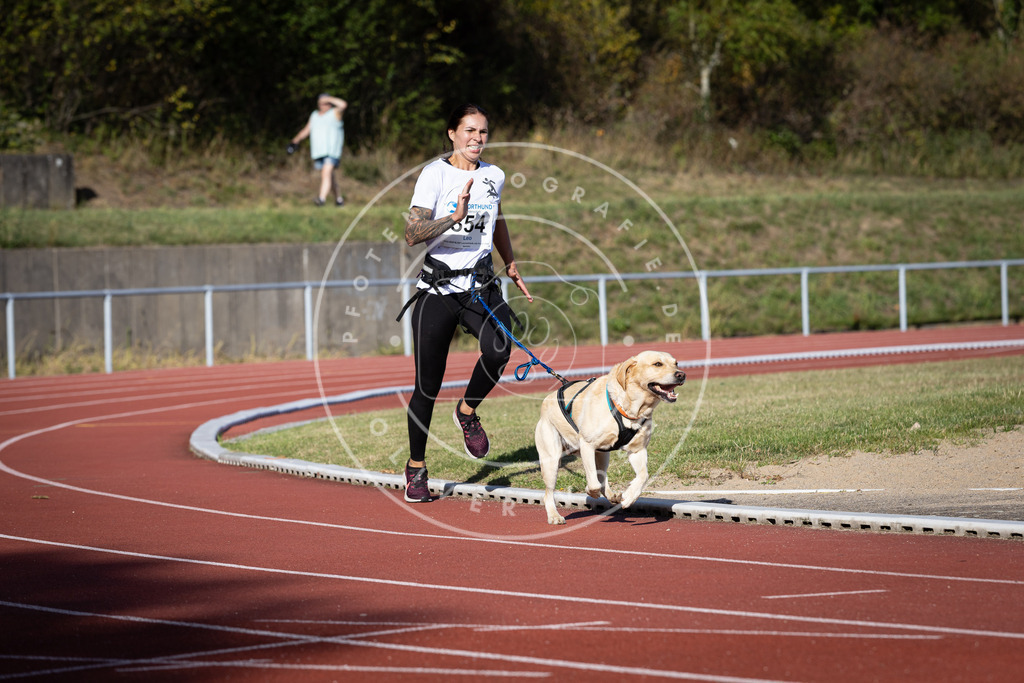 Pfotenfotografie_DV3A9864 | Hundefotografie, Tierfotograf, Pfotenfotografie, Fotoshooting Hund, Hunde Portrait, Hundesport, Hundeportraits, Heideshooting, Hunde, Sportfotograf, Hundefotograf, Turnierhundsport, THS,  - Realisiert mit Pictrs.com