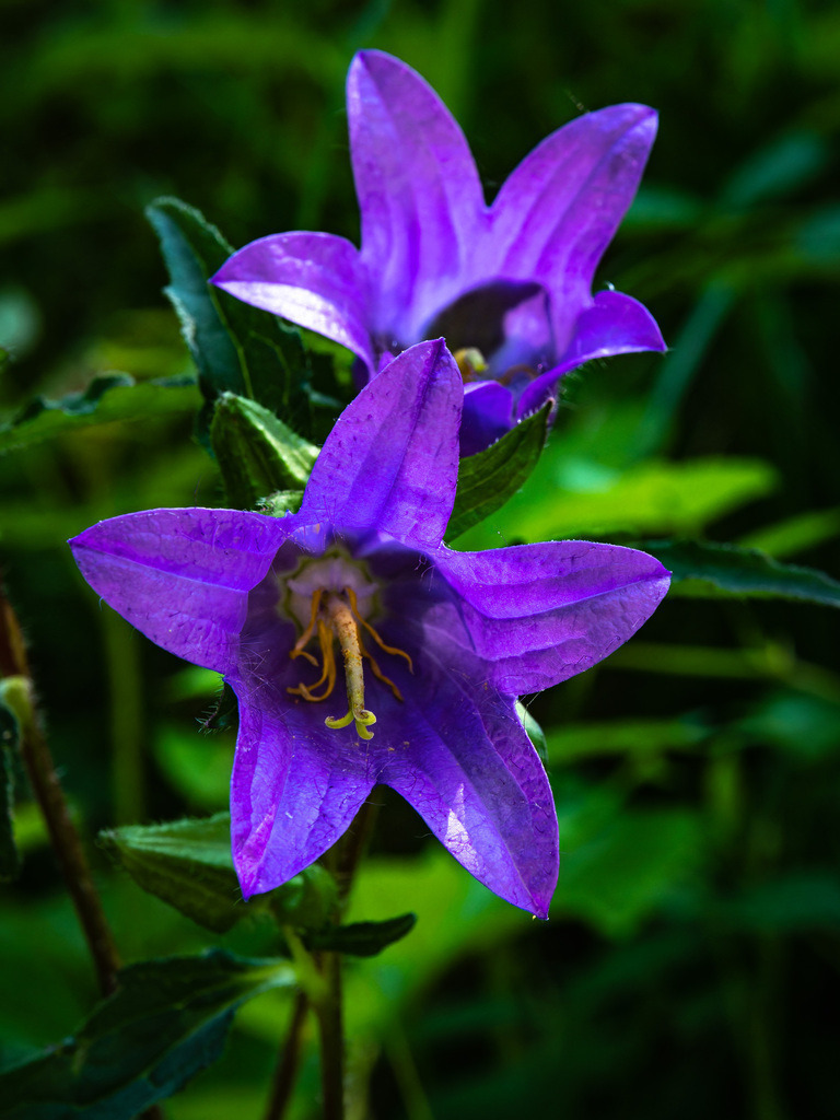 DxO_P1169446-RW2 | Schöne Fotografien aus der Stadt und der Natur zum bestellen oder selber hochladen. Druck auf Foto, Postkarte, Kalender, FineArt Hahnemühle, Alu-Dibond , Akustikbilder zur Absorption von Schall und Lärm etc. - Realisiert mit Pictrs.com