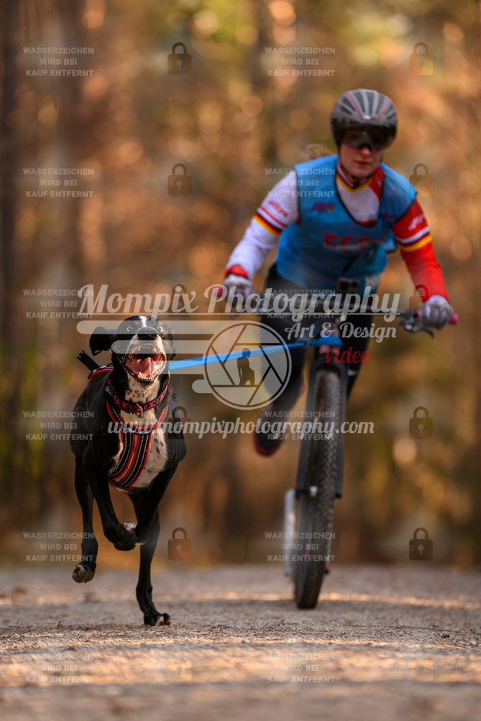 MompixPhotography_DM_AKDM_SO_2025_Scooter-111 | PayLife