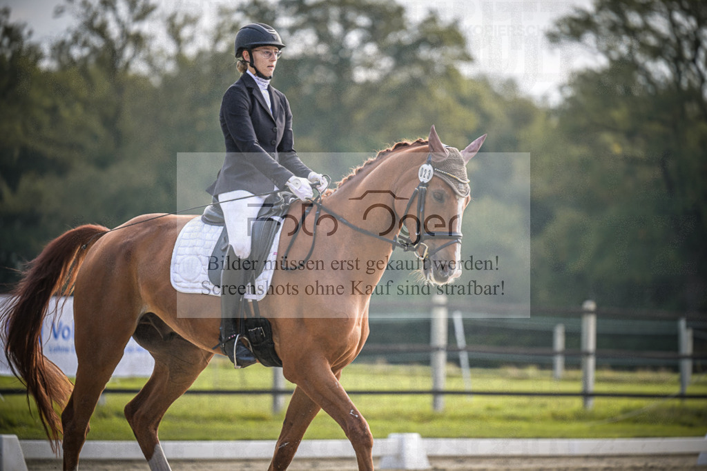 DOS_B057 | Entdecke hochwertige Reitturnierfotos von Foto Oger. Professionell, emotional und authentisch – jetzt Lieblingsmomente im Shop bestellen.Deutschlandweite Turnierfotografie. - Realisiert mit Pictrs.com