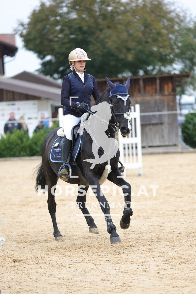 0P6A2218 | Willkommen bei Brunnmayr - Design & Fotografie – Ihrem Spezialisten für Reitturniere und Pferdeveranstaltungen in Oberösterreich, Salzburg und Bayern! Seit über 17 Jahren sind wir leidenschaftlich dabei.