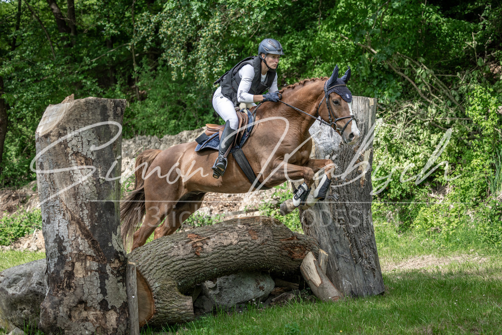 20260523-_3LI9763 | Tierfotografie Pferde, Hunde, Katzen, Haustiere.
Turnierfotografie Reitturniere, Reiten, Springreiten, Dressur in Hanau, dem Main-Kinzig-Kreis und dem Rhein-Main- Gebiet um Frankfurt