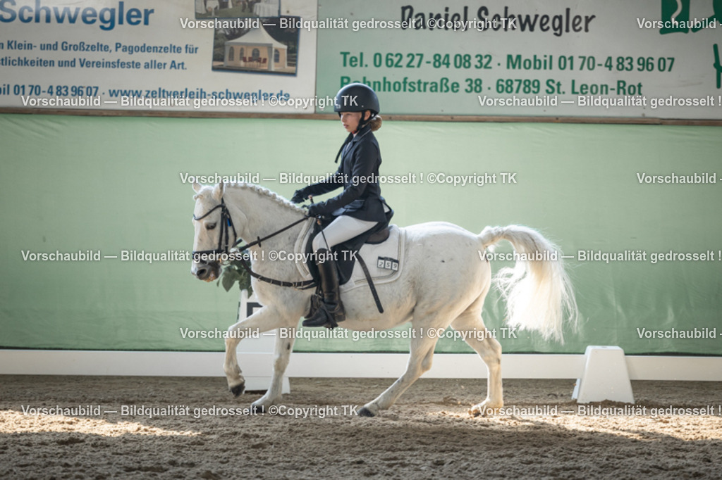 _D5A8764 | Emotionale Pferde- & People-Fotografie rund um Heidelberg, Leimen & Umgebung. Natürliche Fotos von Pferd, Mensch & Familie. Jetzt Termin sichern!