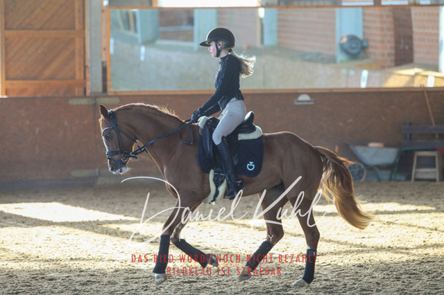 DKP42180 | Turniersportfotografie; Pferdefotografie; Dressurfotografie