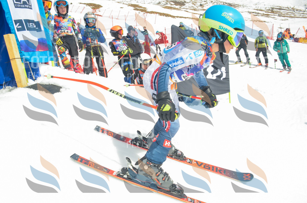 _ELE7363 | holidayphoto