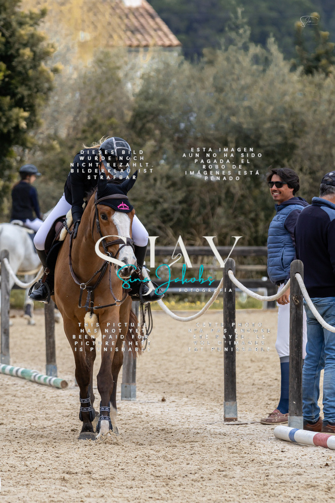 IMG_4905 | s-jay-photography - Realisiert mit Pictrs.com