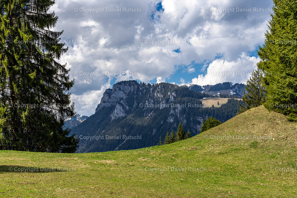 _DSC1648-Verbessert-RR | rutschi_photography - Realisiert mit Pictrs.com