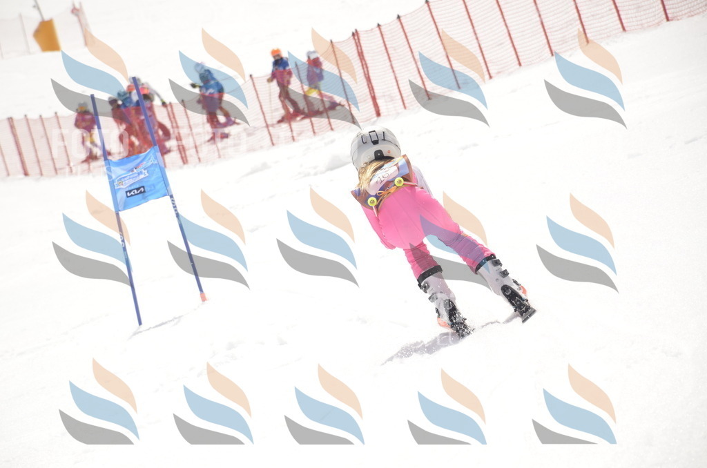 _ELE8609 | holidayphoto