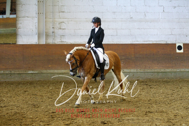 DKP43715 | Turniersportfotografie; Pferdefotografie; Dressurfotografie