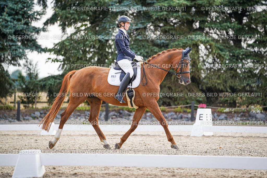 DSC00626 | Pferdegrafie