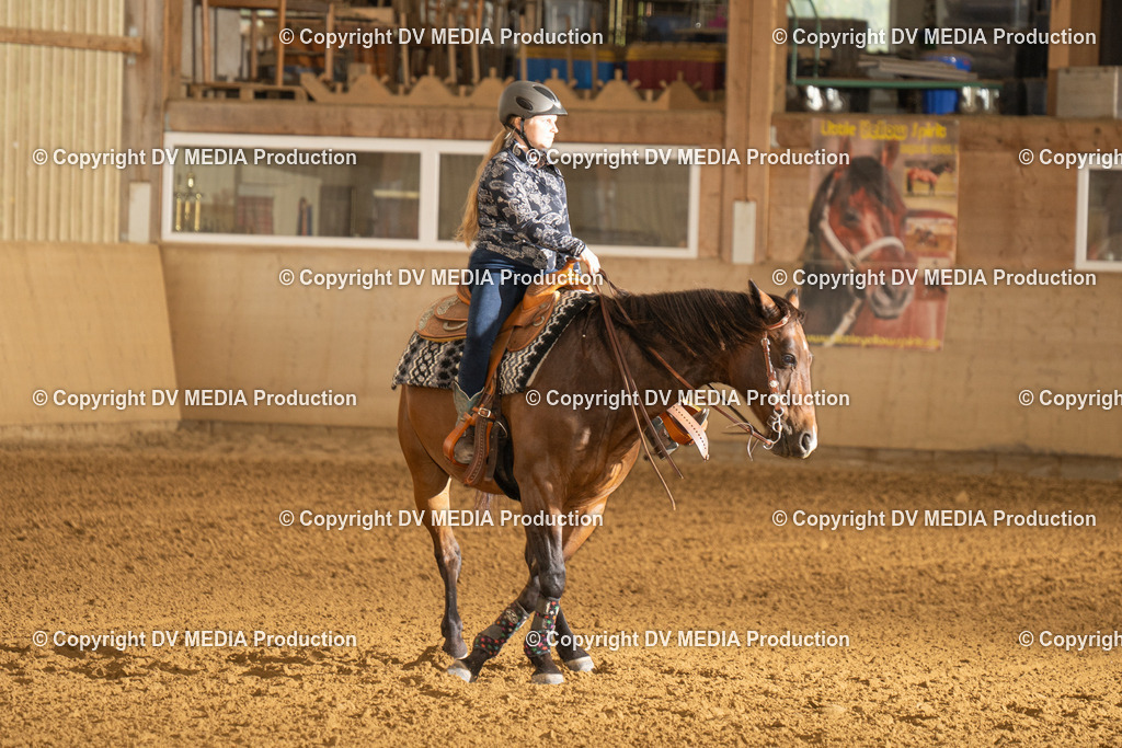 LAU00758 | dv-media-shop - Realisiert mit Pictrs.com