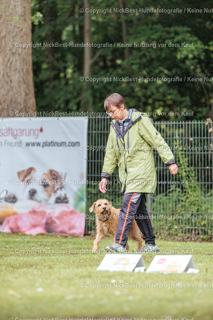 RO-Blumenthal-2026-Nickbest-Hundefotografie-3461 | Dein Hund! Dein Moment! Deine Erinnerungen! Hundefotografie in Bremen Blumenthal. Ich fange die besonderen Momente deines Vierbeiners ein – ob Indoor mit Blitzanlage oder in der freien Natur. Sicher dir dein Moment und dein Termin für eure Erinnerungen.