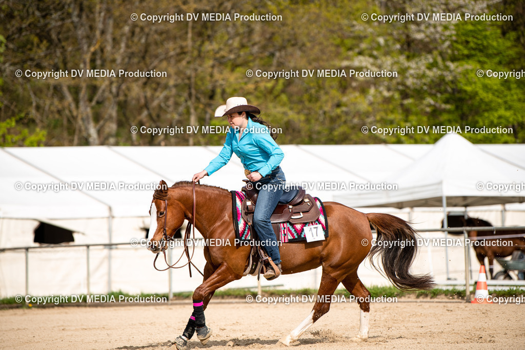 Heiligenwald Tag 2-286 | dv-media-shop - Realisiert mit Pictrs.com