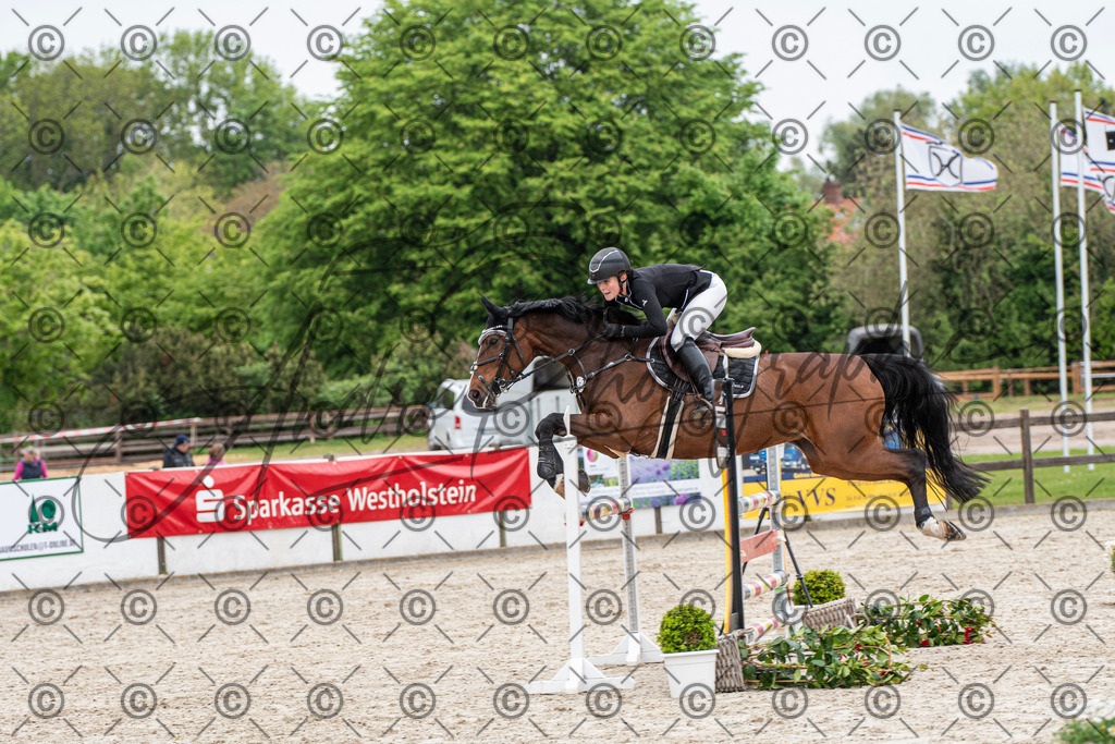 KPT_8515 | andre_photographic