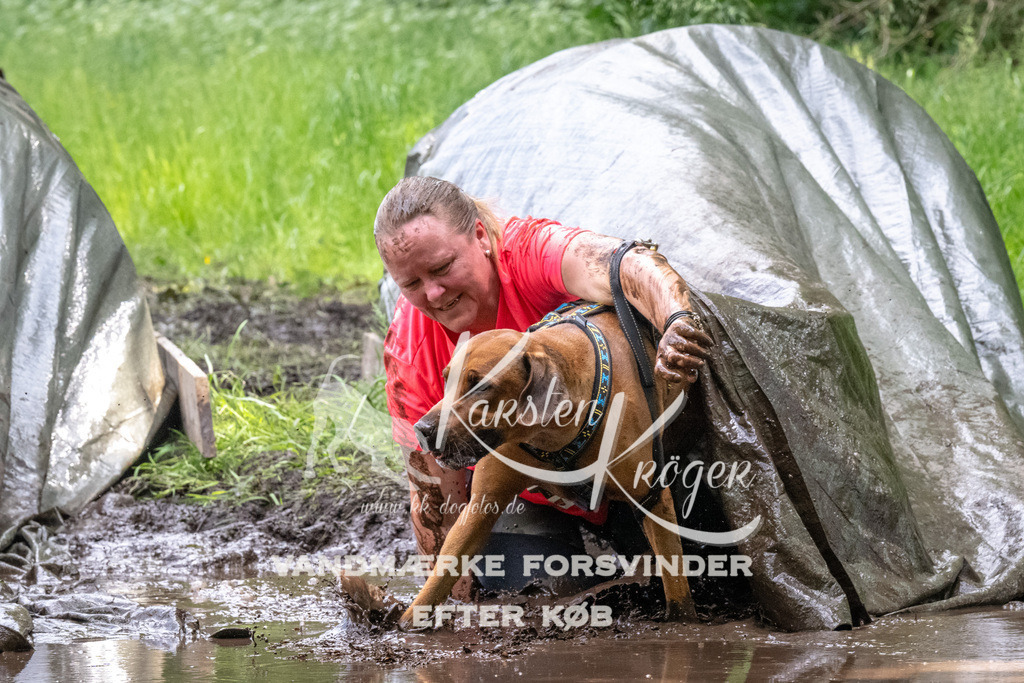 1252_ZZ94011 | kk-dogfotos
